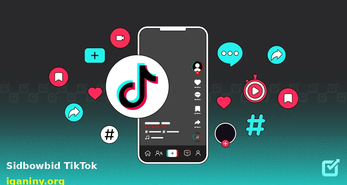 Sidbowbid TikTok: A Complete Guide