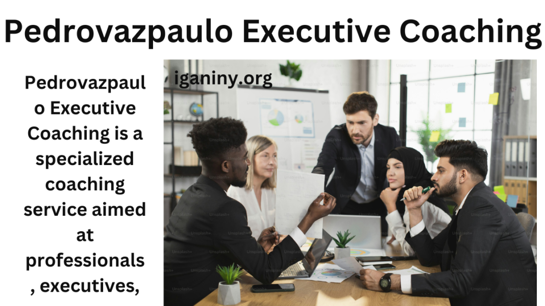 Pedrovazpaulo Executive Coaching