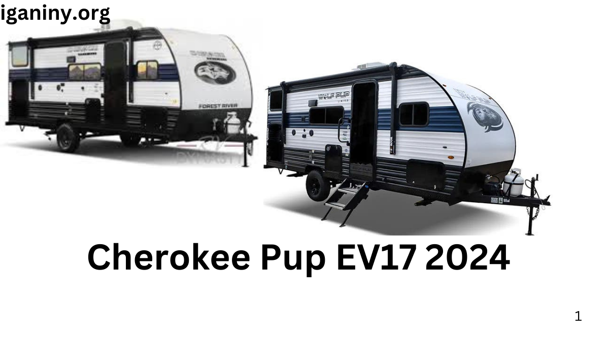 Cherokee Pup EV17 2024