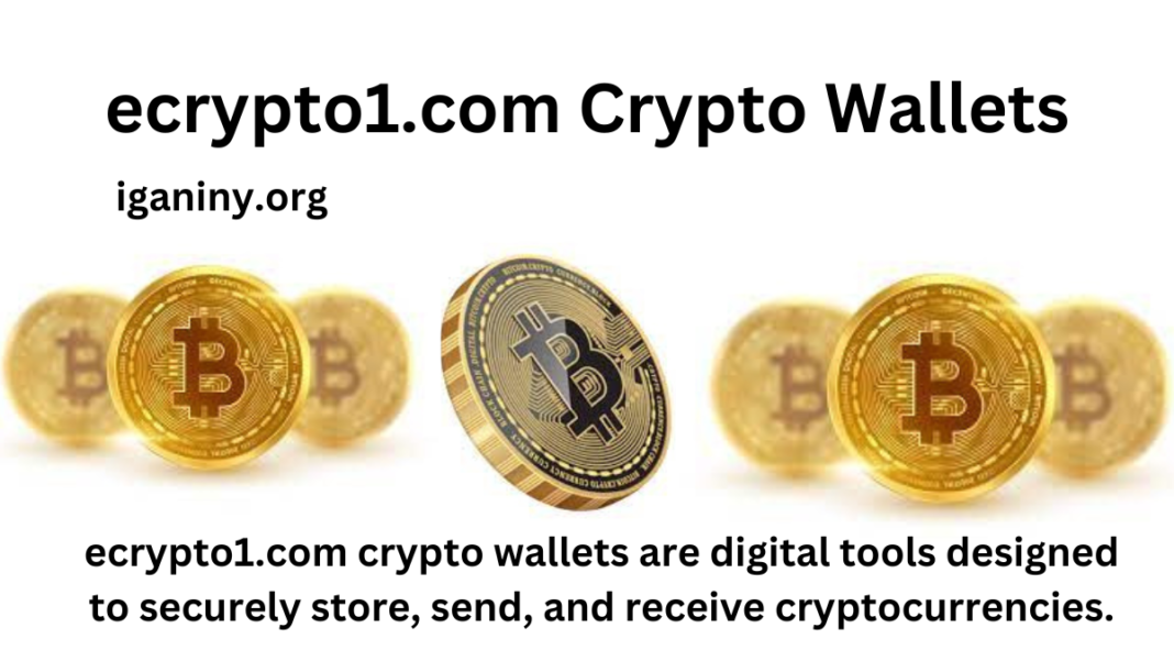 ecrypto1.com Crypto Wallets