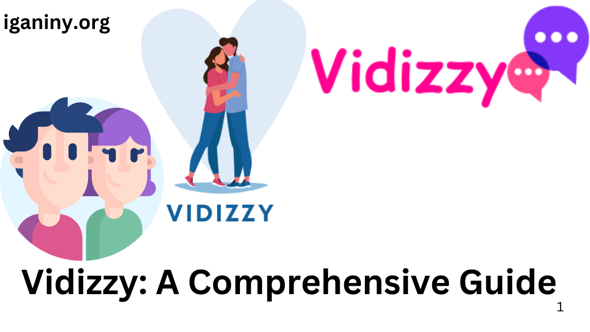 Vidizzy: A Comprehensive Guide