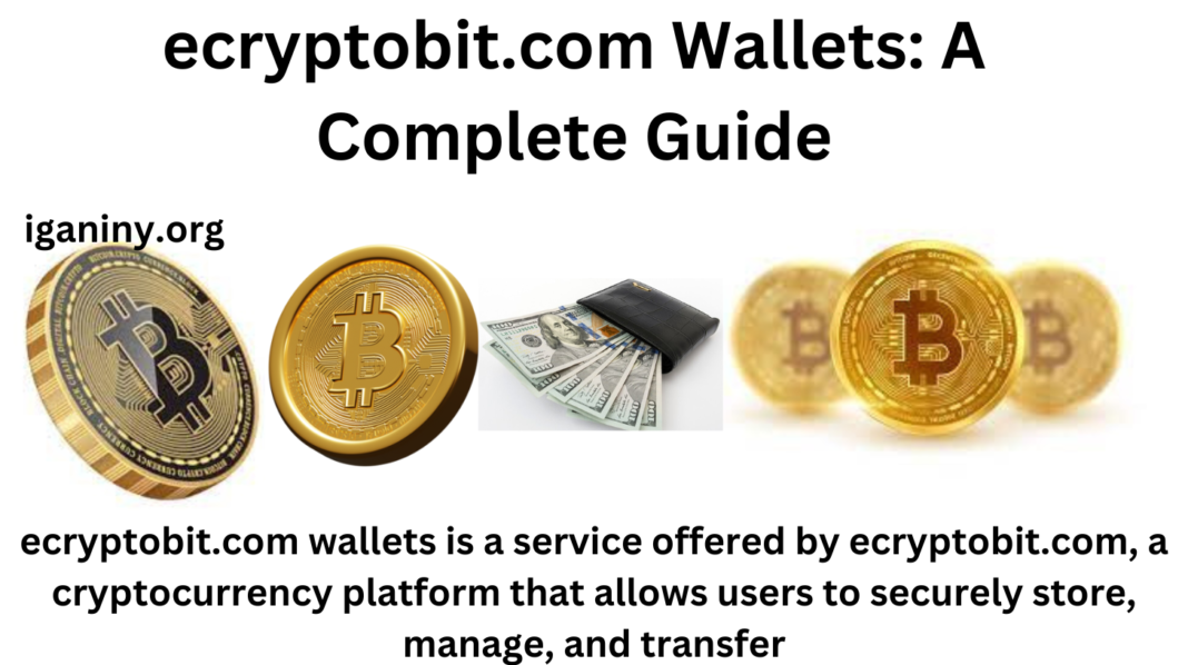 ecryptobit.com Wallets: A Complete Guide